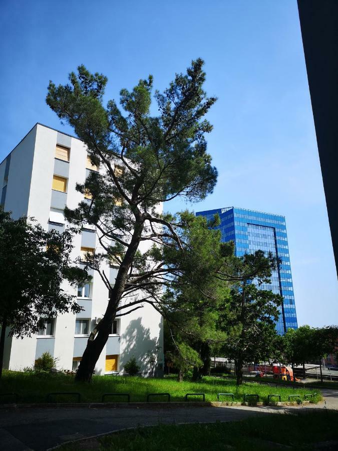 Gervais Rijeka